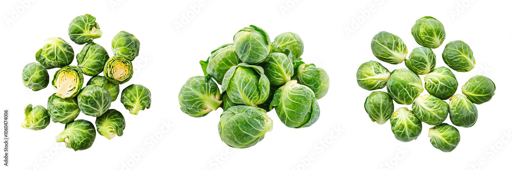 Set of Fresh Brussels sprouts arranged isolated on a transparent background Set of Fresh Brussels sprouts arranged isolated on a transparent background