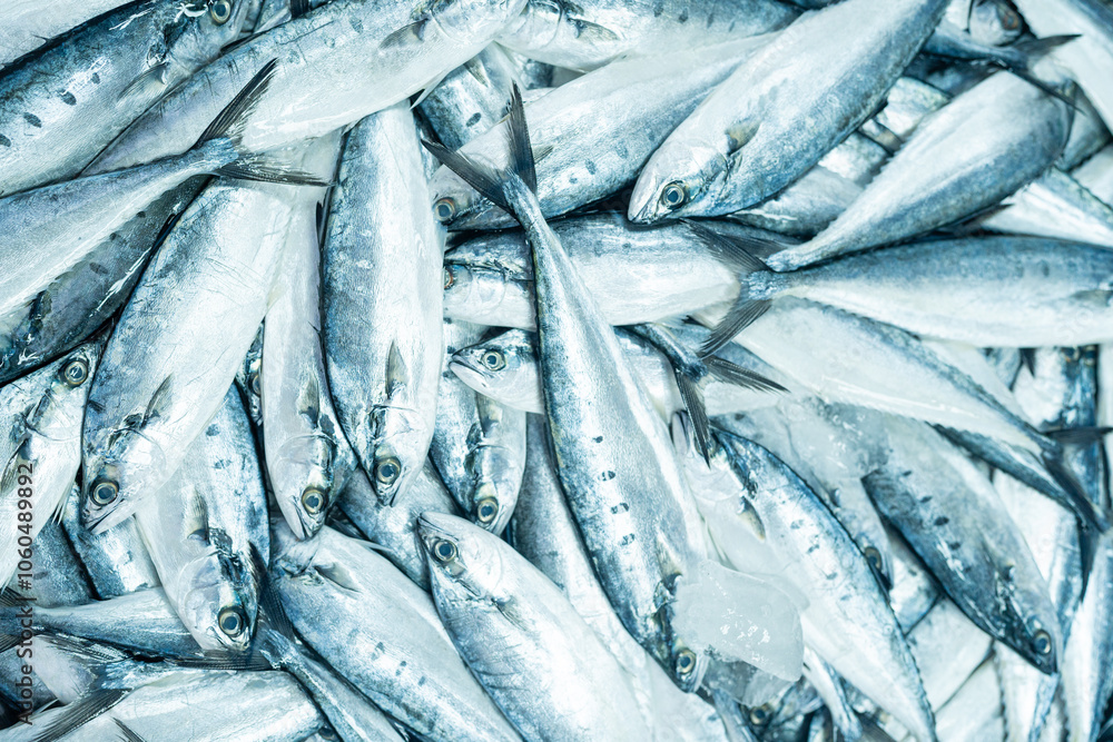 Fototapeta premium Background of Skipjack tuna sea fish sell in fishery fresh market
