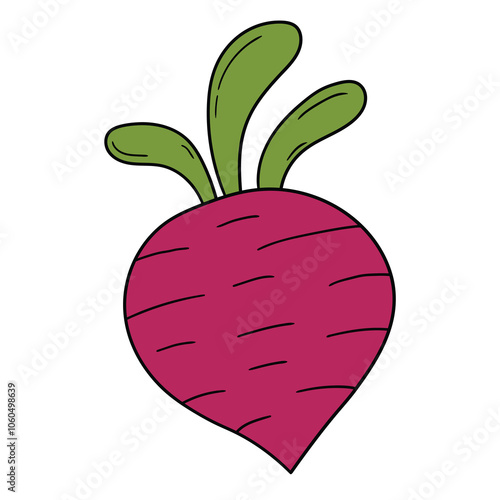 Hand drawn cartoon beet on white background.