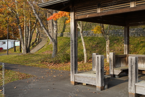 Pavilion  in the park in  Autumn. photo