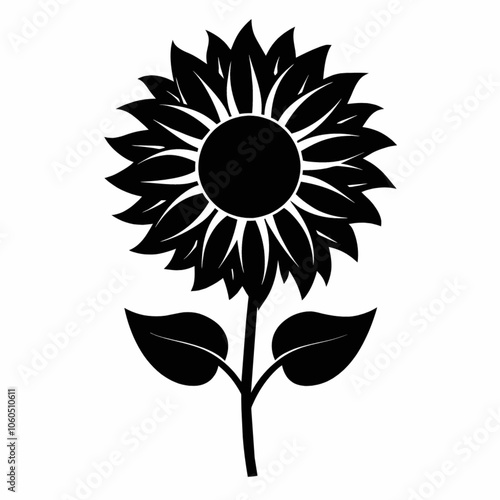 sunflower illustration