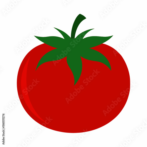 tomato illustration