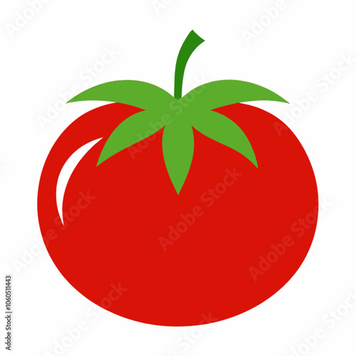 tomato illustration