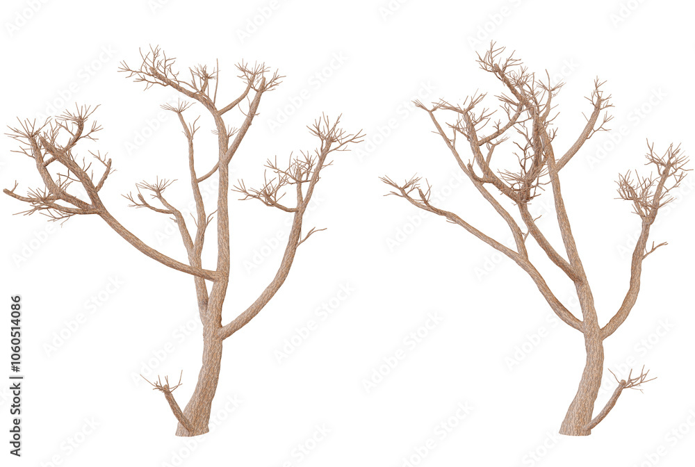 A pair of gnarled, leafless trees silhouetted against a dark backdrop, embodying an aura of mystery and solitude in nature’s skeletal form A pair of gnarled, leafless trees silhouetted against a dark backdrop, embodying an aura of mystery and solitude in nature’s skeletal form