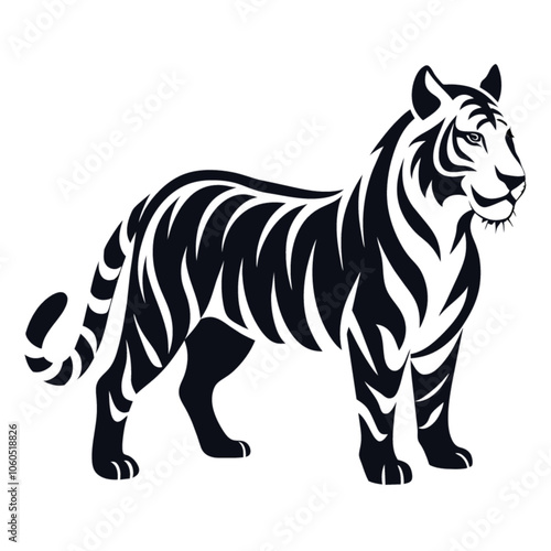 tiger on white background