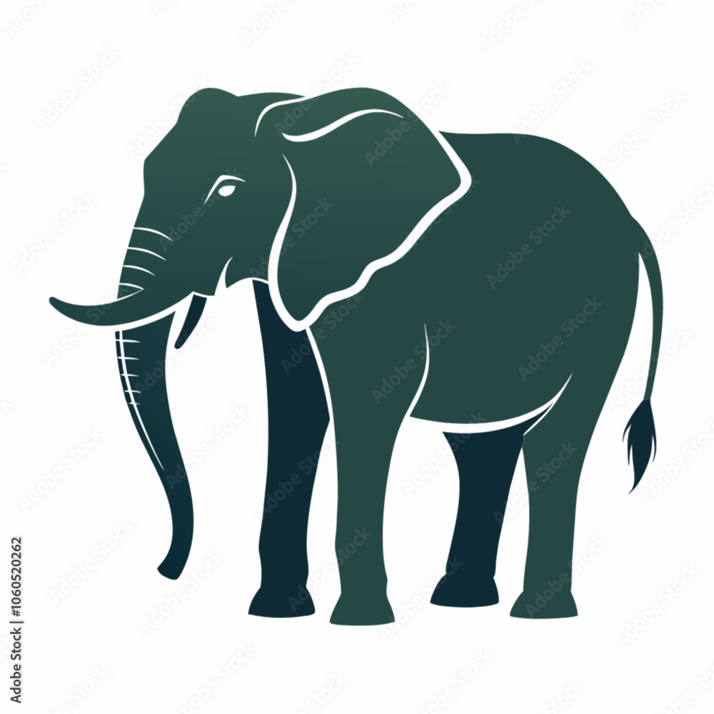 elephant isolated on white background elephant isolated on white background