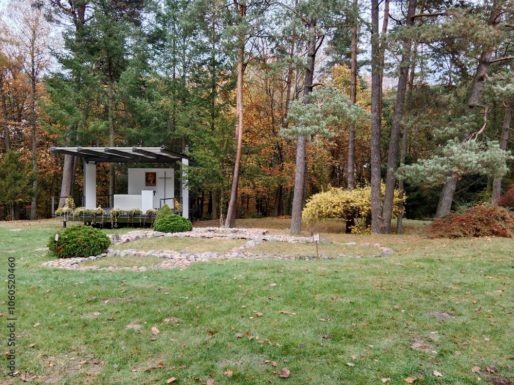 Obraz premium Experience the Magic of Autumn Forest Walks – Crisp Air, Golden Leaves & Serenity