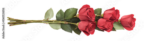 Five beautiful red roses with green leaves, isolated on a white background. transparent background