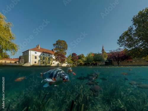 A unique photo of Malom Lake in Tapolca, Hungary. A half-above, half-below shot showing fish and the mall. photo