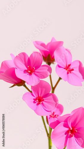 cluster delicate pink blossoms