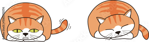 丸くなり、しっぽを振って寝る猫(茶トラ)