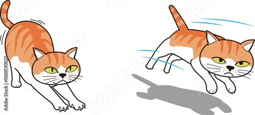 伸びをして走り出す猫(茶トラ)