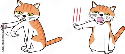 遊んでいて、突然機嫌が悪くなり爪を立てる猫(茶トラ)