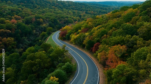 Winding Road Through Autumn Forest Aerial View