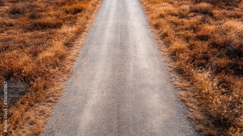 A long, straight gravel road cuts through fields of golden-brown grass, showcasing the beauty of rural landscapes in warm autumn tones, evoking nostalgia and wanderlust. photo