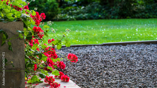 Flor en Jardín