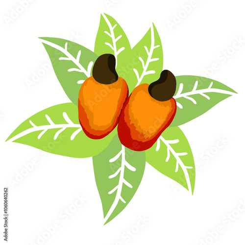 Ilustração Vetorial caju, fruta, brasileira, colorido, folha, cajuzeiro, castanha, laranja, adsngente, brasil