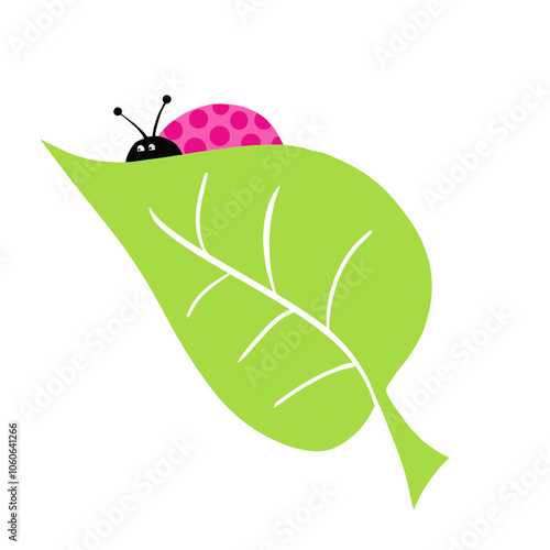 Ilustração Vetorial folha, natureza, joaninha, planta, inseto, primavera, verão, relva, vector, cadeia alimentar, cercar, bichinho de estimação, besouro, ajardinar, macro, flora, ilustração, árvore, m