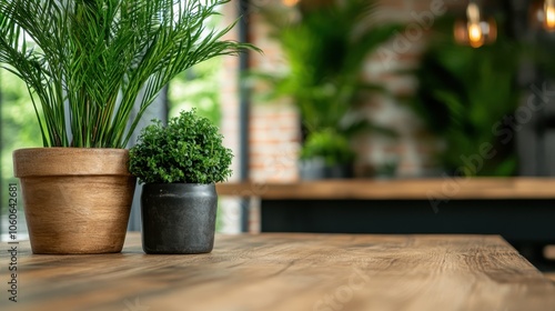 A cozy interior setting is anchored by a wooden table, complemented by two potted green plants, providing a touch of nature and warmth to the space. photo