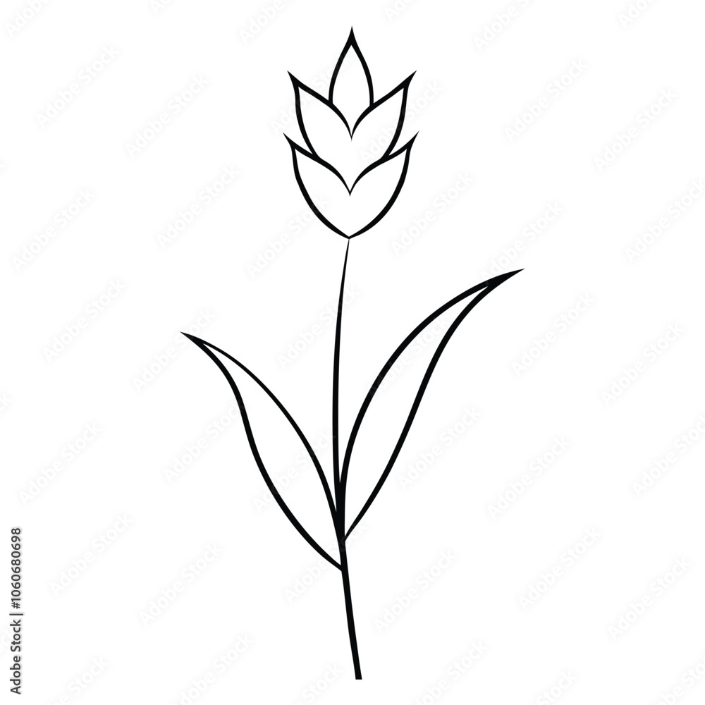 Lavender Flower Vector Illustration, Hand-Drawn Lavender Plant flower Lavender Flower Vector Illustration, Hand-Drawn Lavender Plant flower