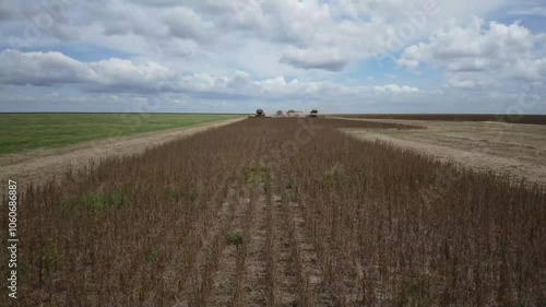 Multiple Machines Harvesting Soybeans in the Fields