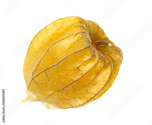 Cuadro en lienzo Physalis, groundcherrie isolated on white