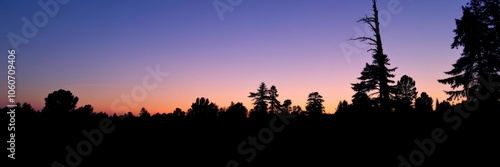 A tranquil scene of a silhouetted forest against a colorful sky at dusk, dusk background, sky