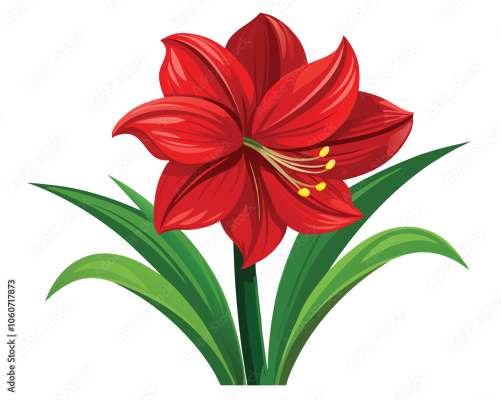 Amaryllis flower vector illustration on white background Amaryllis flower vector illustration on white background
