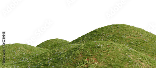 Fotografie Grassy hill with flowers on a transparent background