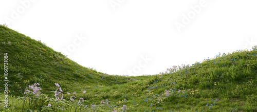 Fotografie Grassy hill with flowers on a transparent background