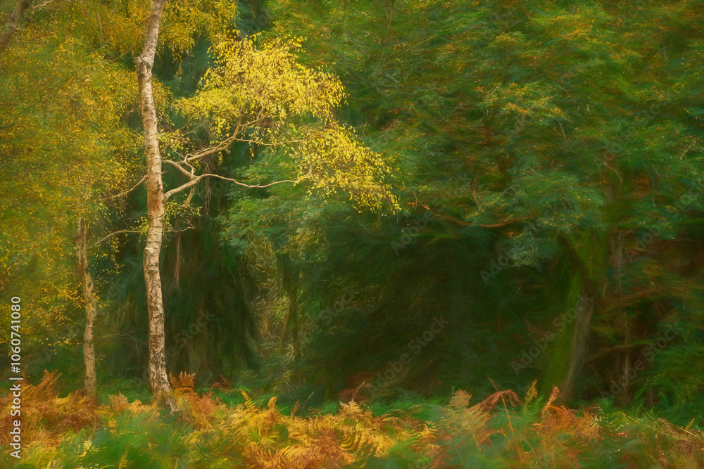 Φωτογραφία Autumn digital oil painting of woodland tree and leaf colours at Cannock Chase an area of outstanding natural beauty