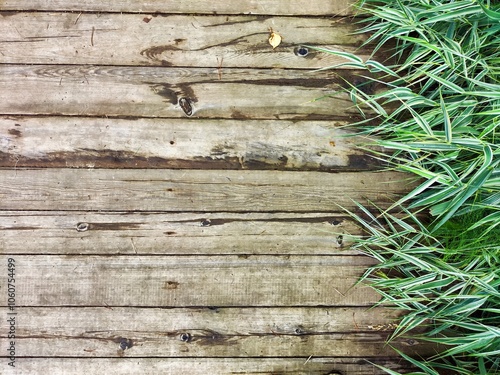 Grass growing alongside weathered wooden planks in a tranquil outdoor setting