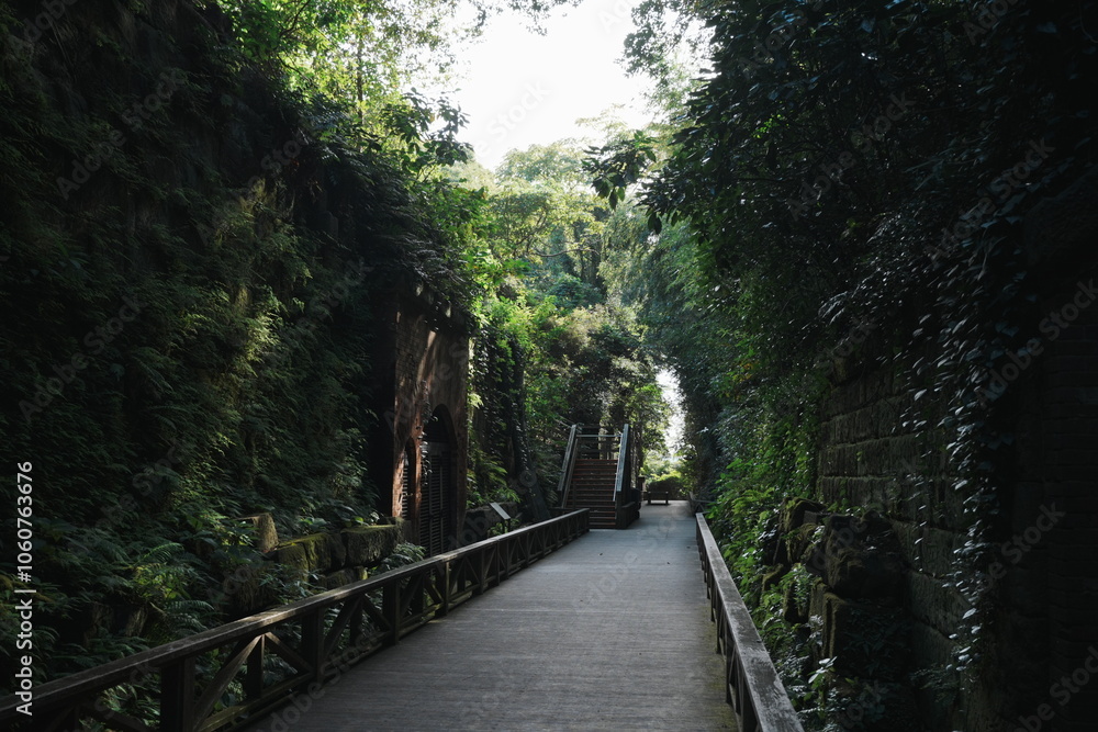 Fototapeta premium 神秘的な景色の猿島の道