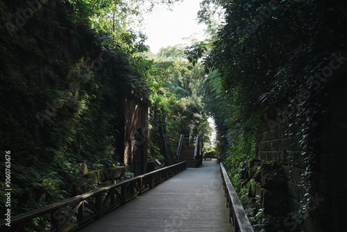 神秘的な景色の猿島の道