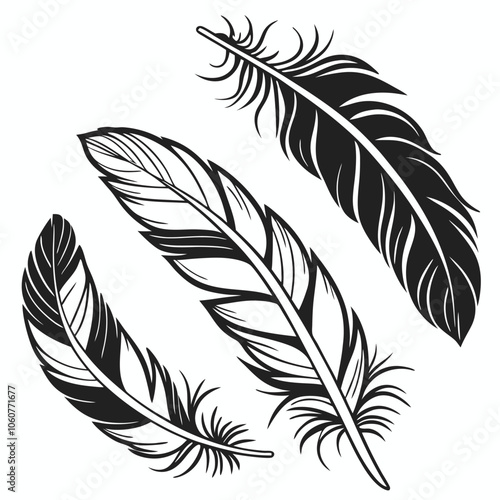 Three detailed black and white feathers, perfect for adding a touch of nature to your designs. These elegant and stylish feathers are ideal for logos, branding, invitations.