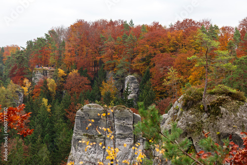 Obraz na płótnie Colorful autumn Landscape in Bohemian Paradise, Czech Republic w salonie