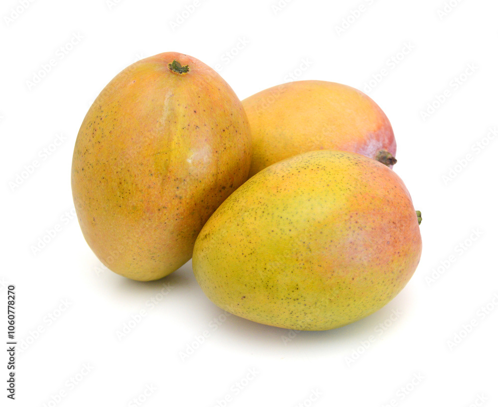 Mango fruits isolated on white background Mango fruits isolated on white background