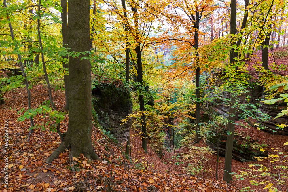 Colorful autumn Landscape in Bohemian Paradise, Czech Republic