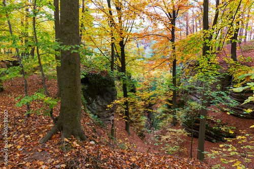 Obraz na płótnie Colorful autumn Landscape in Bohemian Paradise, Czech Republic w salonie