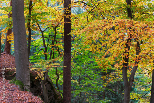Obraz na płótnie Colorful autumn Landscape in Bohemian Paradise, Czech Republic w salonie