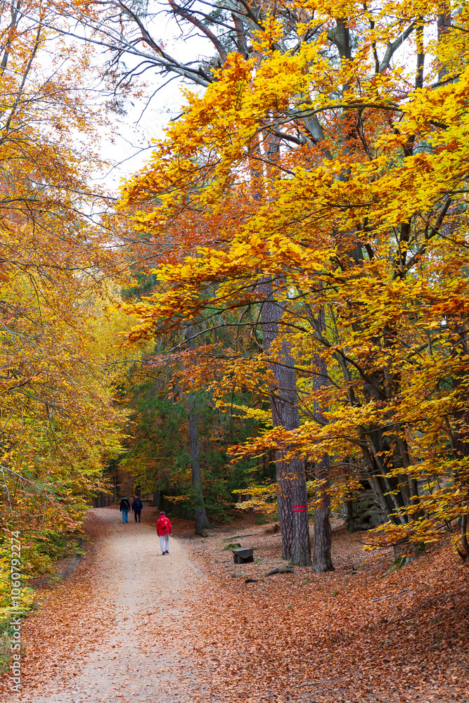 Colorful autumn Landscape in Bohemian Paradise, Czech Republic