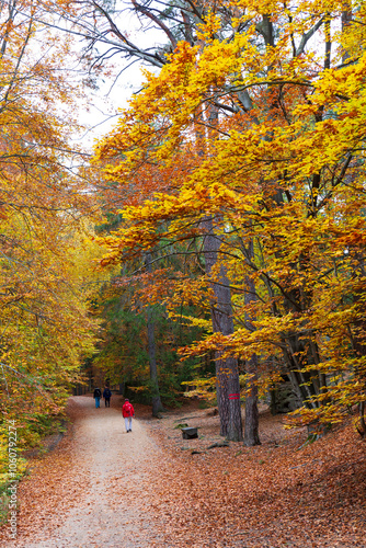 Obraz na płótnie Colorful autumn Landscape in Bohemian Paradise, Czech Republic w salonie