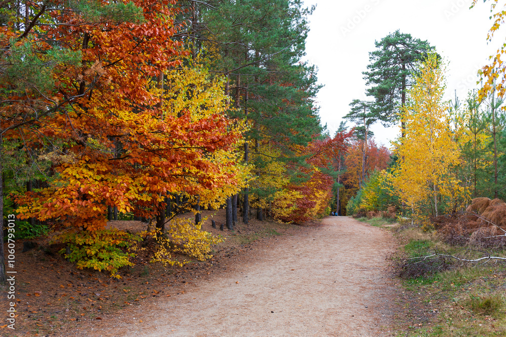Colorful autumn Landscape in Bohemian Paradise, Czech Republic