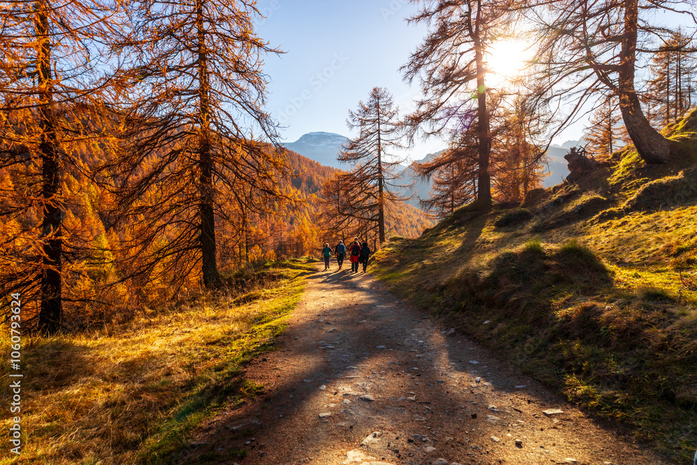 Fototapeta premium Alpe Devero