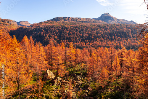 Alpe Devero