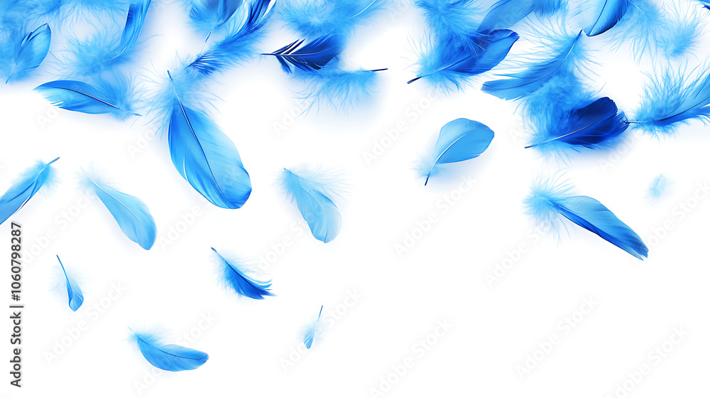 Fototapeta premium Blue feather isolated on white background. Floating feather. Fallen bird feather