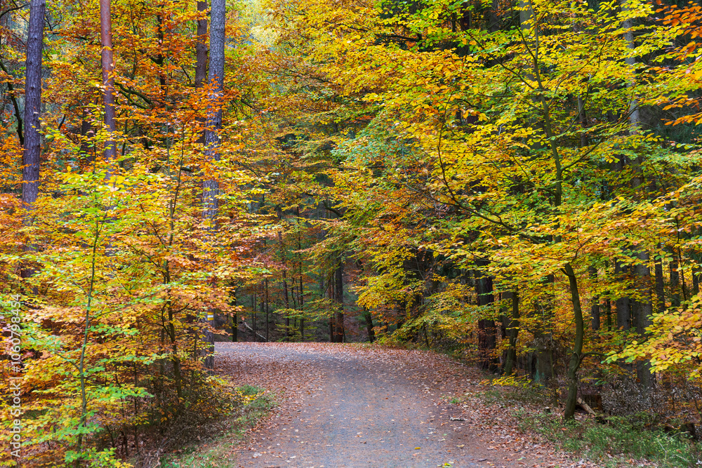 Colorful autumn Landscape in Bohemian Paradise, Czech Republic