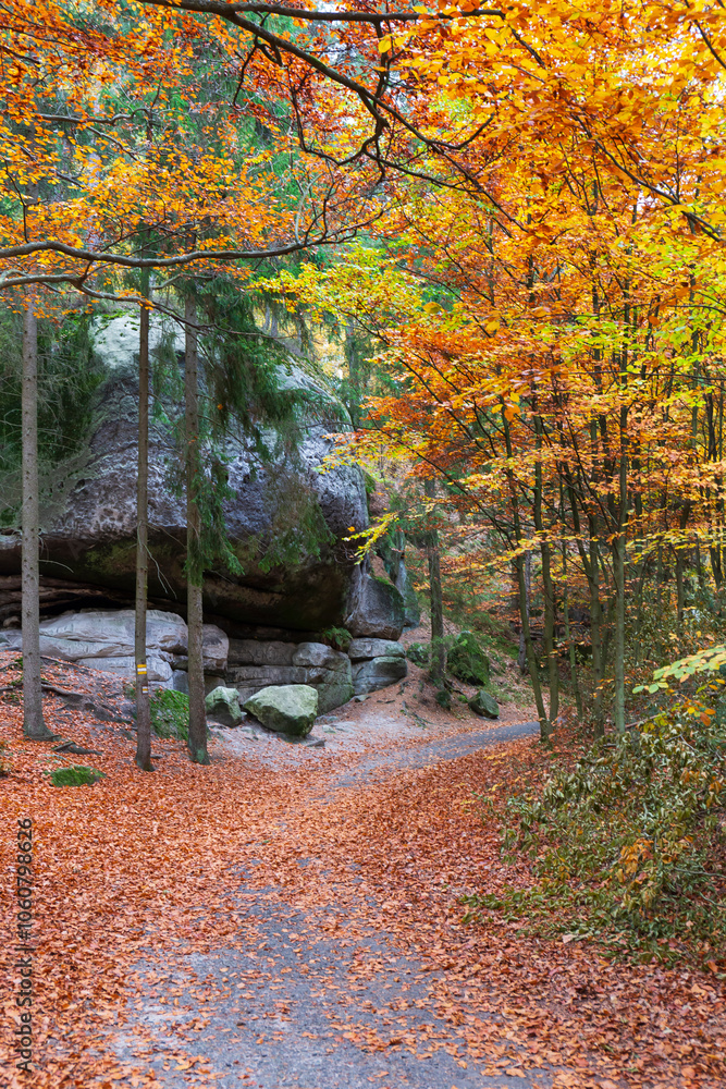 Colorful autumn Landscape in Bohemian Paradise, Czech Republic