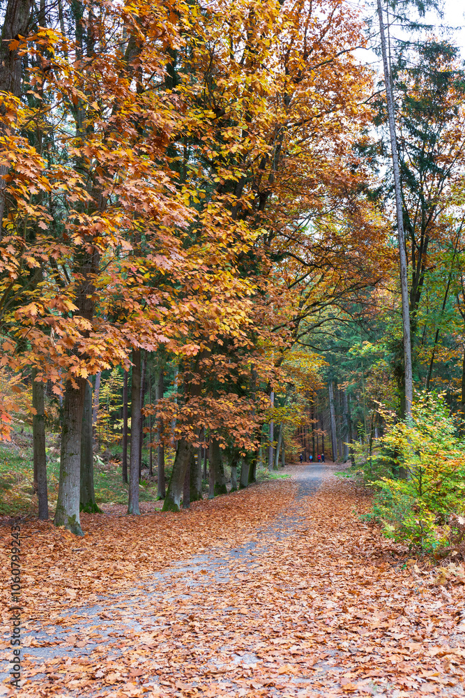 Colorful autumn Landscape in Bohemian Paradise, Czech Republic