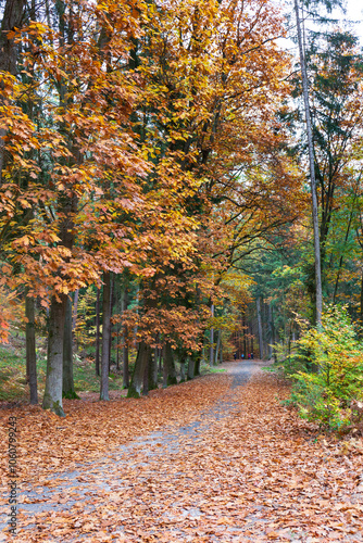 Obraz na płótnie Colorful autumn Landscape in Bohemian Paradise, Czech Republic w salonie
